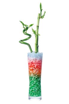 Glass jar with bamboo isolated on white background.
