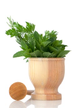 Green herb leafs sprigs in an wood mortar over white background.