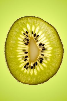 Kiwi fruit slice top view with gradient green background.