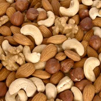 Assorted nuts (almonds, filberts, walnuts, cashews) close up