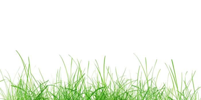 Green grass meadow isolated over white background