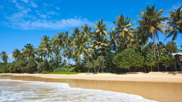 Tropical paradise idyllic beach. Sri Lanka