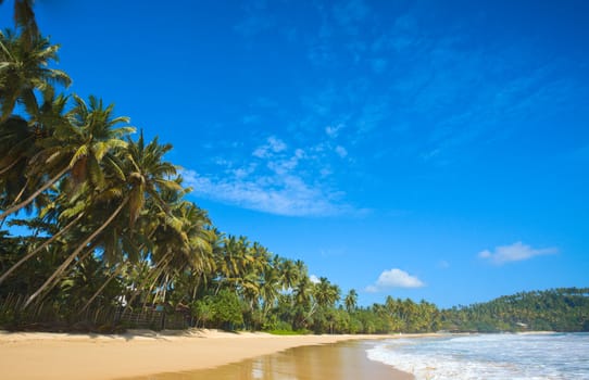 Tropical paradise idyllic beach. Sri Lanka