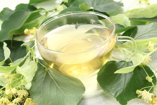 hot linden blossom tea with linden flowers and leaves
