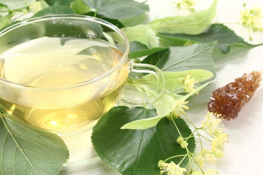 hot linden blossom tea with fresh linden flowers and green leaves