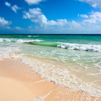 Beautiful beach and  waves of Caribean Sea