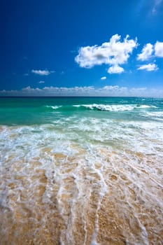 Beautiful beach and  waves of Caribean Sea