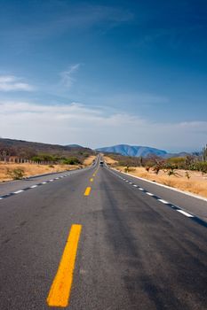 Road in desert  in Mexico