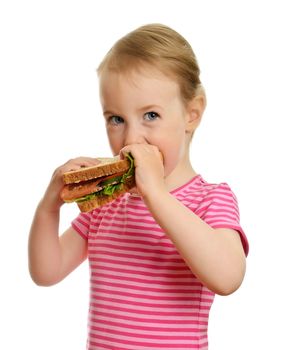 Young little girl eating sandwich isolated on white