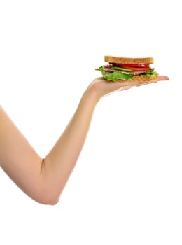 Woman's hand holding a sandwich, isolated on white