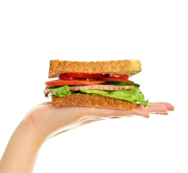 Woman's hand holding a sandwich, isolated on white