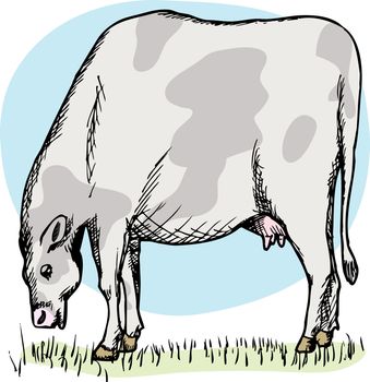 Illustration of cow grazing in a green field over white