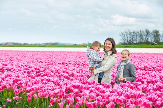 Mother with her child walks between of the purple tulips field