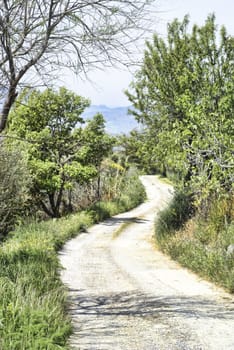 Sicilian country road with double curve