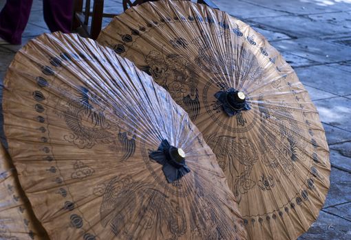 asian traditional umbrella 
