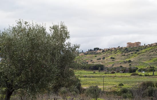 Landscape from Valley of the Temples, Agrigento, Sicily, Italy.