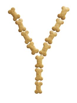 Letter Y made of bone shape dog food on white background, shot directly from above