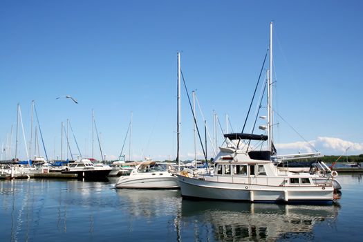 Yachts and boats in a harbour