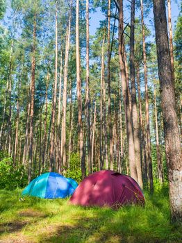 In the tourist camp in the forest