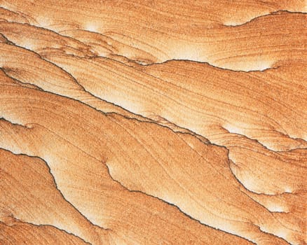 Wood background