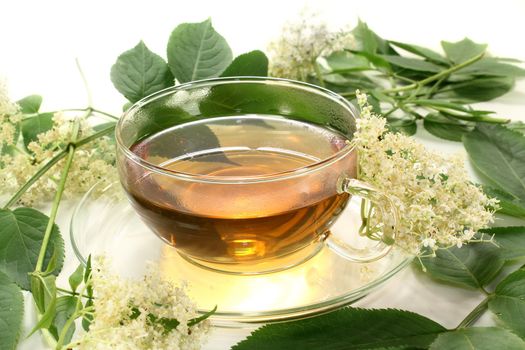 a cup of elderflower tea with fresh flowers