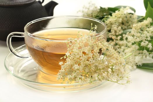 a cup of elderflower tea with fresh flowers