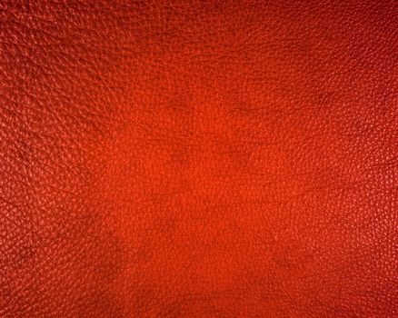 Leather texture