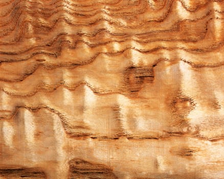 Wood background