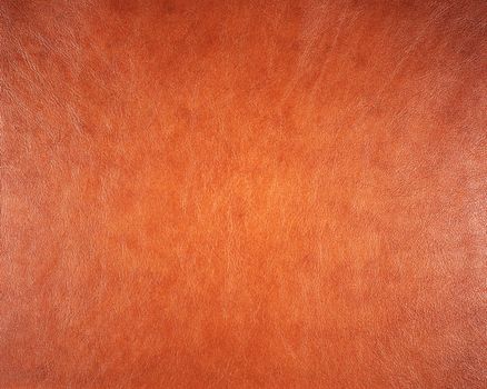 Leather texture