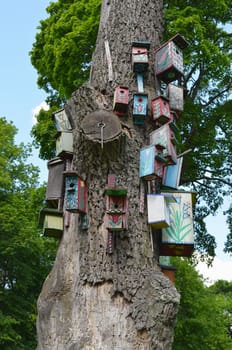 Old dead tree trunk and colorful interesting bird nesting-box houses hang on it. Art for birds.