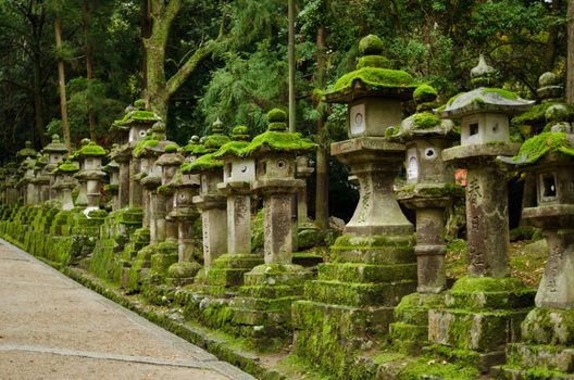 Typical japanese stone lanterns in Nara, Japan