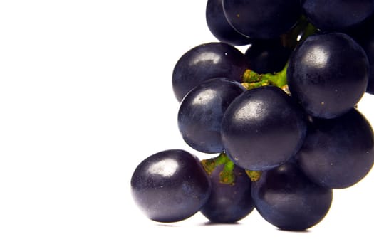 cluster of vine of dark color on a white background