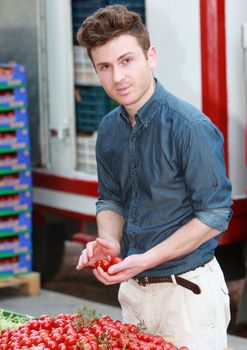 Young attractive man buying tomatoes