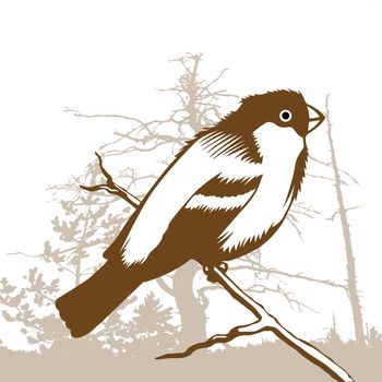 bird silhouette on wood background