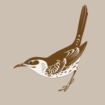 thrush silhouette on brown background