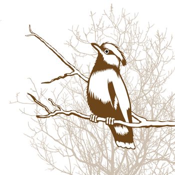 bird silhouette on wood background