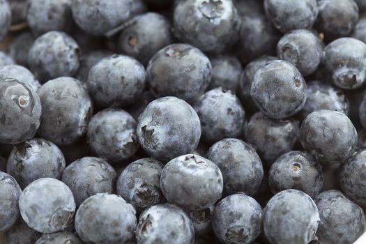 Food Backgrounds: Juicy Blueberries