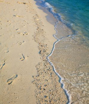 Sand beach, sea background