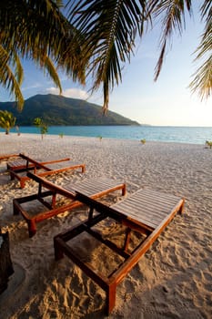 Bench with Palm forest in resort of Thailand