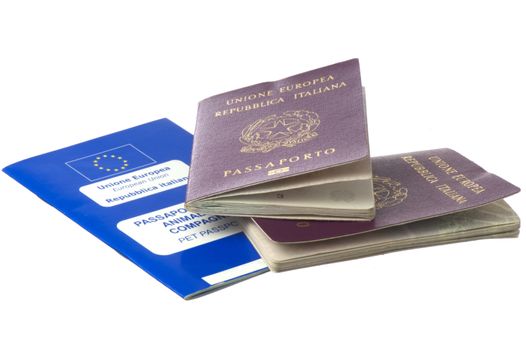 Italian passport and pets passport on white background