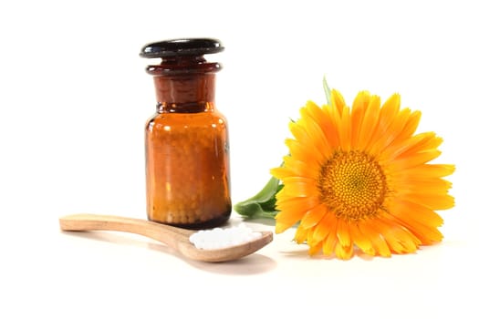 Homeopathy globules, an apothecary jar and marigold