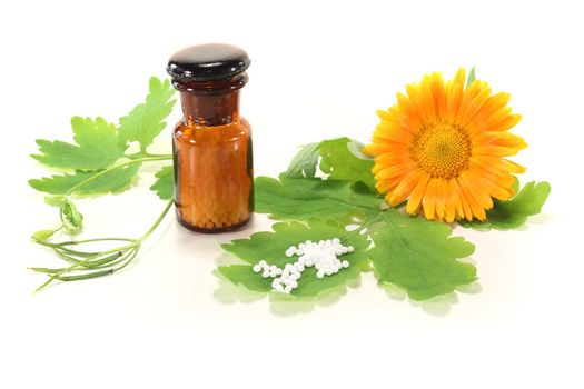 Homeopathy globules, fresh tetterwort and orange marigolds