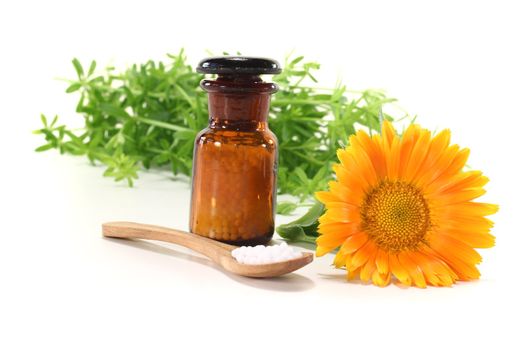 Homeopathy globules, an apothecary jar, bedstraw and marigold