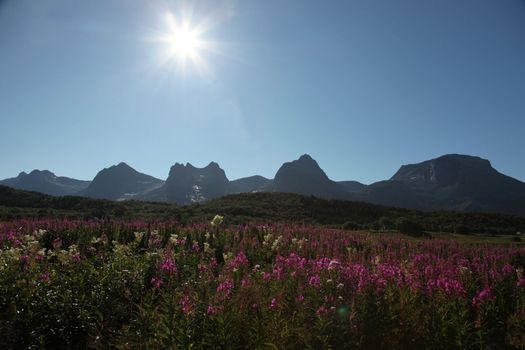 De syv søstre - The seven sisters in Norway