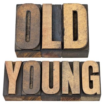 old and young antonym - age or generations concept -- isolated text in vintage letterpress wood type