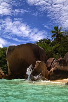 Palm trees growing under a beautiful blue sky by a clear ocean water shoreline