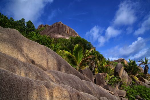 Tropical heaven with palms and large boulders weathered down with a terraced look