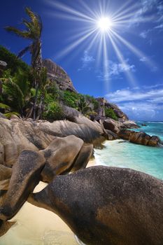 Beautiful shoreline of large boulders and palm trees along a beach and cyan colored water