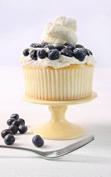 Delicious summer dessert with blueberries and whip cream