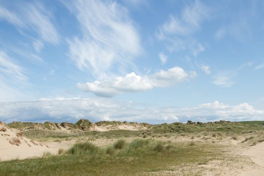 Coastal environment with mohair grass on a sand dune with a dramatic sky.